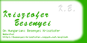 krisztofer besenyei business card